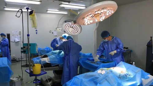 科技引領 高起點布局 海河生物助力區域生物醫藥產業騰飛